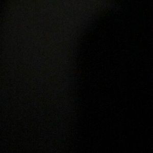 Meet your Posher, Ebony